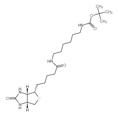 tert-butyl (6-(5-((3aS,4S,6aR)-2-oxohexahydro-1H-thieno[3,4-d]imidazol-4-yl)pentanamido)hexyl)carbamate Structure