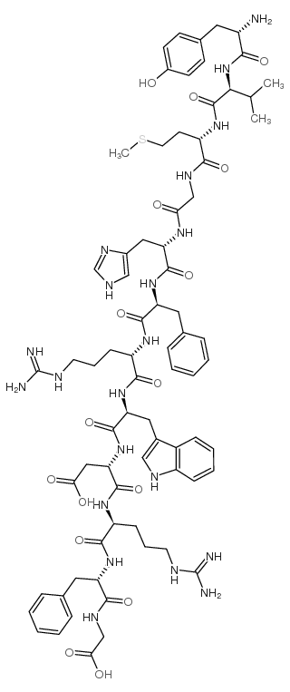 γ2-MSH structure