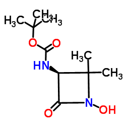 2-Methyl-2-propanyl [(3S)-1-hydroxy-2,2-dimethyl-4-oxo-3-azetidinyl]carbamate结构式