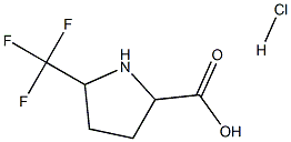 5-Trifluoromethyl-pyrrolidine-2-carboxylic acid hydrochloride Structure