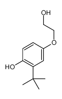 2-tert-butyl-4-(2-hydroxyethoxy)phenol Structure