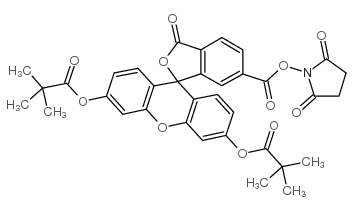 5,6-carboxyfluorescein dipivalate succinimide ester structure