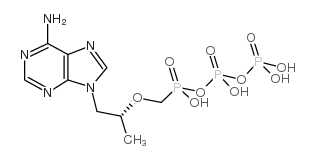 Tenofovir Phosphate Structure