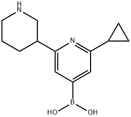 2-Cyclopropyl-6-(piperidin-3-yl)pyridine-4-boronic acid结构式