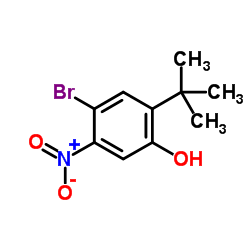4-Bromo-2-(2-methyl-2-propanyl)-5-nitrophenol结构式
