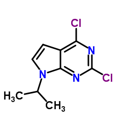 2,4-二氯-7-(丙-2-基)-7H-吡咯并[2,3-d]嘧啶结构式