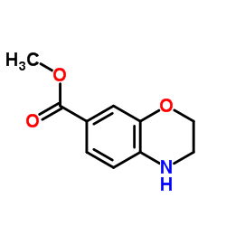 3,4-二氢-2H-1,4-苯并噁嗪-7-甲酸甲酯结构式