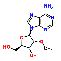 2'-O-Methyladenosine Structure