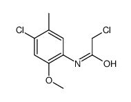 2-Chloro-N-(4-chloro-2-methoxy-5-methyl-phenyl)-acetamide Structure