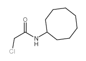 2-氯-n-环辛基乙酰胺结构式