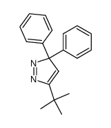 3-tert-butyl-5,5-diphenyl-3H-pyrazole Structure