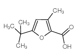 5-叔丁基-3-甲基呋喃-2-羧酸结构式