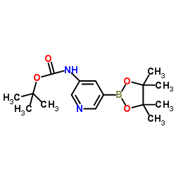 (5-(4,4,5,5-四甲基-1,3,2-二氧硼杂环戊烷-2-基)吡啶-3-基)氨基甲酸叔丁酯结构式