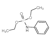 diethyl anilinophosphonate Structure