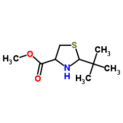 Methyl 2-tert-butyl-1,3-thiazolidine-4-carboxylate结构式
