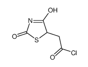 (2,4-Dioxo-1,3-thiazolidin-5-yl)acetyl chloride Structure