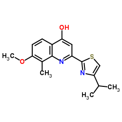 2-(4-异丙基噻唑-2-基)-7-甲氧基-8-甲基喹啉-4-醇结构式