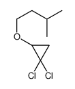 1,1-dichloro-2-(3-methylbutoxy)cyclopropane Structure