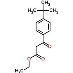 3-(4-叔丁基苯基)-3-氧丙酸乙酯结构式