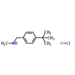 N-Methyl-4-tert-butylbenzylamine Hydrochloride结构式