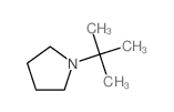 1-叔丁基吡咯烷结构式