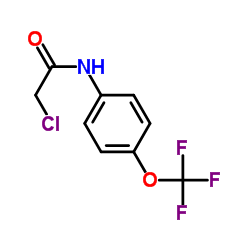 N-氯乙酰-4-(三氟甲氧基)苯胺结构式