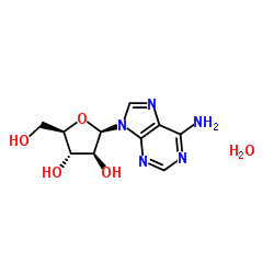 阿糖腺苷一水合物图片