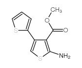 5'-氨基-2,3'-联噻吩-4'-羧酸甲酯结构式