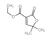 ethyl 5,5-dimethyl-2-oxo-furan-3-carboxylate结构式