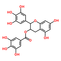 tea polyphenol Structure