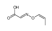 2-prop-1-enoxyiminoacetic acid结构式