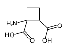 1,2-Cyclobutanedicarboxylic acid,1-amino- picture