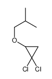 1-(2,2-dichlorocyclopropyl)oxy-2-methyl-propane结构式
