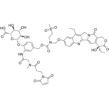 MAC glucuronide phenol-linked SN-38 picture