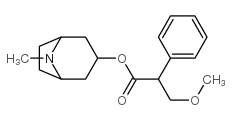 methylatropine Structure