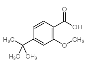 4-叔丁基-2-甲氧基苯甲酸结构式