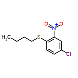 butyl 4-chloro-2-nitrophenyl sulfide Structure