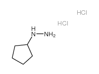 环戊基肼双盐酸盐结构式