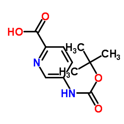 5-boc-氨基-2-吡啶羧酸结构式