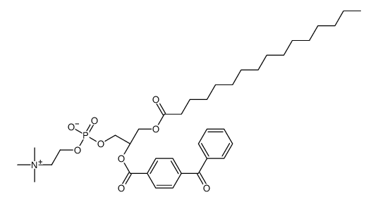 1-palmitoyl-2-(4-benzoyl)benzoyl-3-phosphatidylcholine结构式