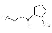 顺式-2-氨基环戊烷羧酸乙酯结构式