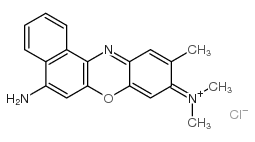 [9-(dimethylamino)-10-methylbenzo[a]phenoxazin-5-ylidene]azanium,chloride Structure