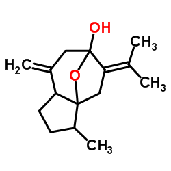 Isocurcumenol Structure