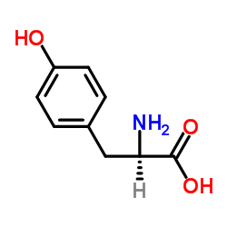 D-酪氨酸结构式