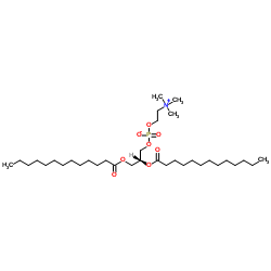 1,2-二十三烷酰基-sn-甘油-3-磷酸胆碱结构式