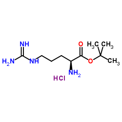 L-精氨酸叔丁酯结构式