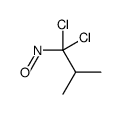 1,1-dichloro-2-methyl-1-nitrosopropane结构式