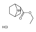 (1S,2s,4r)-乙基 7-氮杂双环[2.2.1]庚烷-2-羧酸盐酸盐结构式