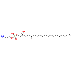 1-肉豆蔻基-2-羟基-sn-甘油-3-磷酸乙醇胺结构式
