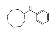 N-phenylcyclooctanamine结构式